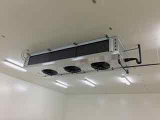 © Logistica Cannistrà S.r.l.